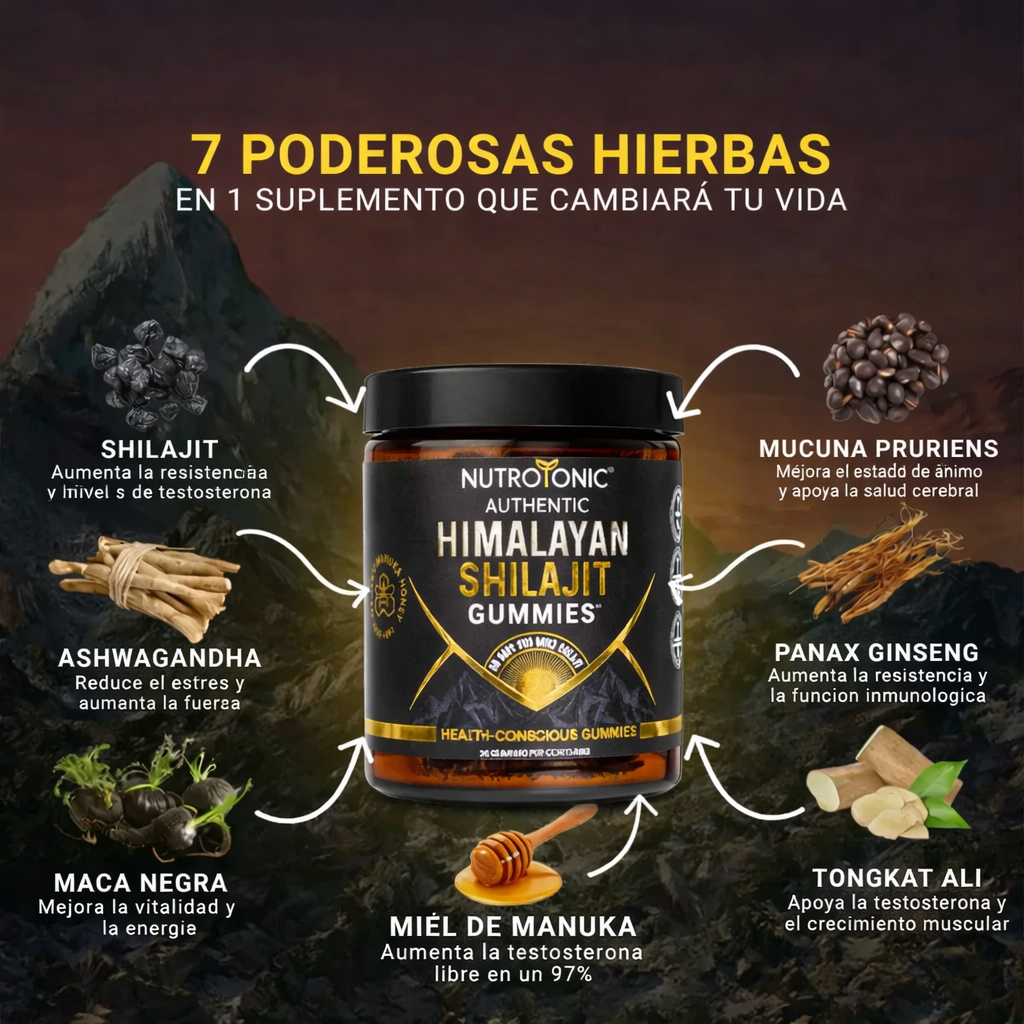 Shilajit Gold – Energía Natural Pura