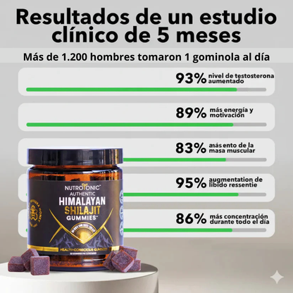 Shilajit Gold – Energía Natural Pura